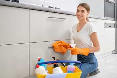 Cleaning the Dishwashers